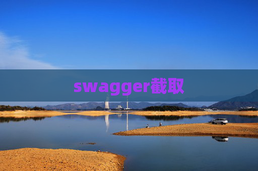 swagger截取 swagger截取